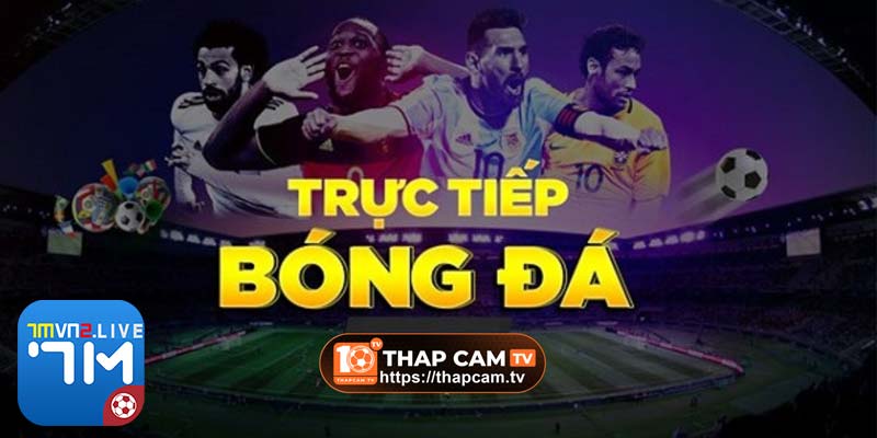 Link ThapcamTV – Điểm nhấn khác biệt đáng lưu ý