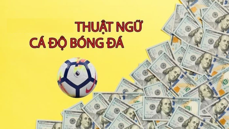 Top Những Thuật Ngữ Cá Độ Bóng Đá Trực Tuyến Đầy Đủ