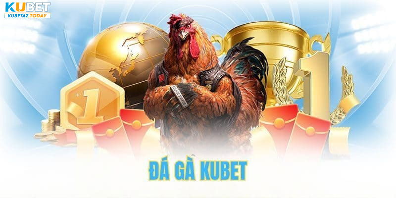 Những Loại Hình Cá Cược Đá Gà VIP Tại Kubet